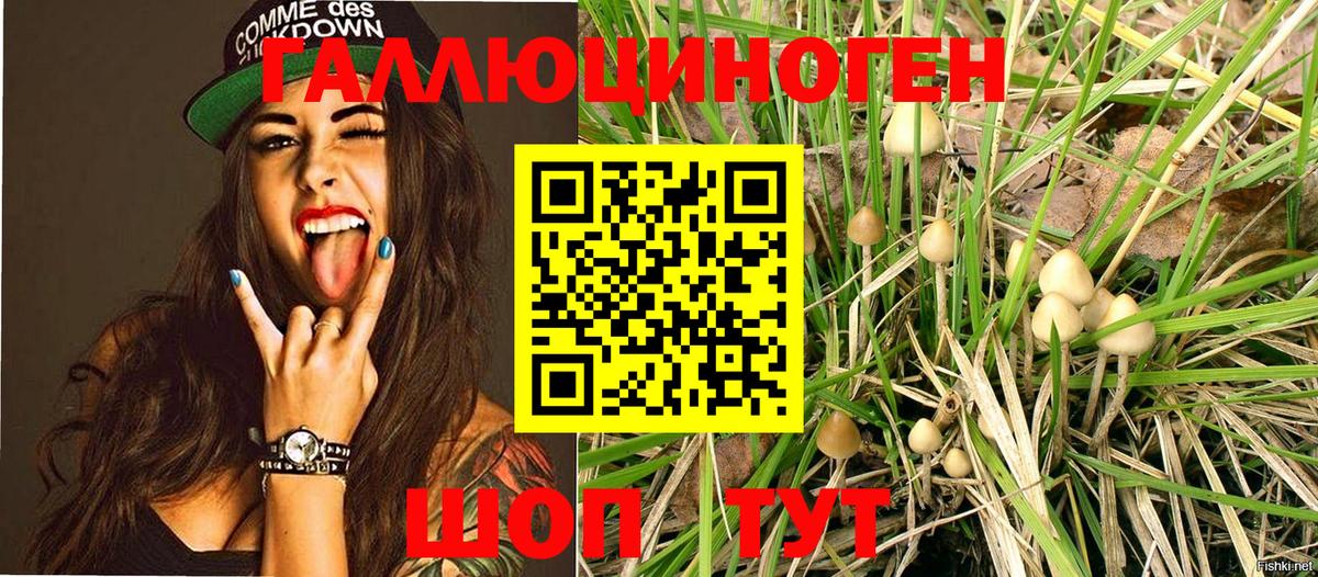 Псилоцибиновые грибы мухоморы Грязи